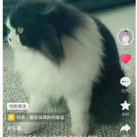 ޲ǺϱôֳǮˣ