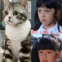 �Ҽ�è���ú����Խ���