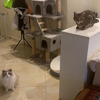 ��ĩ�ڼҰ��ã�������