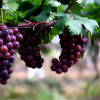 ����5Ԫ/�������Щ�ط���������������ĩԼ��~