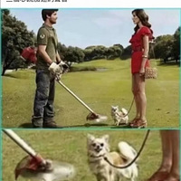 ���Ц�������۵ĸ�ЦͼƬ