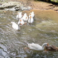 챱壬ˣˮĵط֪˻Ŷ