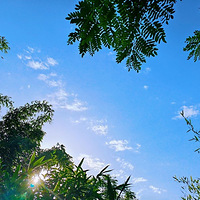 �����һ��������Ƣ������