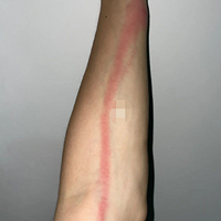 ������ҧ��������Ҫ�������������