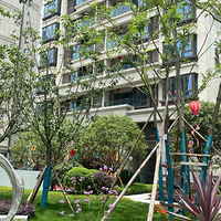 �ɶ���Ͷ���з徳�������࣬���ǻ������⣡