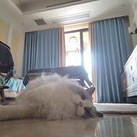 �ϰ�ȥ�ˣ���������ë���ӵ��ճ�