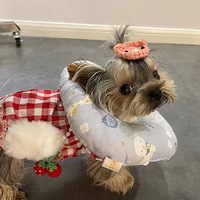 סԺҲҪ��������