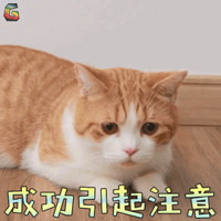 7Ѯ���˲����յ���������40���ICU����