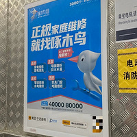 �����˸��鲻��ɶ���ޡ�����ľ��ָ������Ҫ�ۡ�