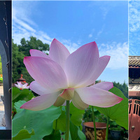 �ɻ��ѿ��ã�������ʵ�Ļ����£������š��ڹ걤���ö����ط羰