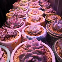 ҹĻ�µ����⣬���˰��ˡ�