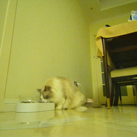 ��ĩ��������������