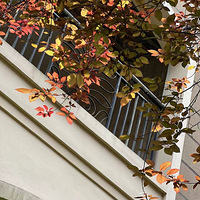 ����ʱ���������ͣ������ƽ��װ֮·