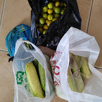 յͶιӣŴŴİ
