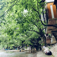 2022������ٹ��ԣ������ܱ����ĸ���������һ����