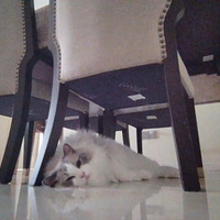 ͵��ĳ�����ǵ��ճ�2