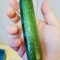 �ڼ���ֲ����С�ƹ�~��