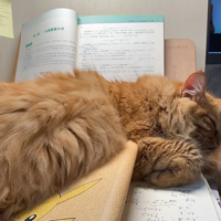 ��Զ��ռ��������12�����٣�