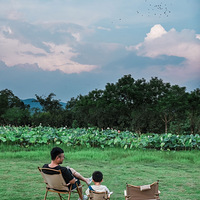 Ǳ͹ıع԰¶Ӫˣˮͺɻ