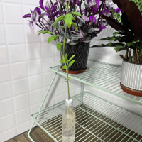 ���ֲ�ũһ���µ�ˮ���߲˾����ܽ�