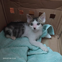 �껨�ܵ��ѱ�������лл���ϲ��