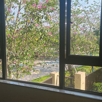 ���ı����Ҷ����ˣ�12Сʱ����ϴ�ɨ���������İ��ʲ�