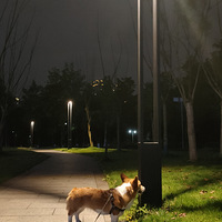 ӵ��ר�������ǵ�С��أ����׼�Լϵ����YYDS~