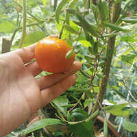 �Լ��ֳ����ķ��ѣ�ζ�����ǲ�һ�������ɾ͸�����