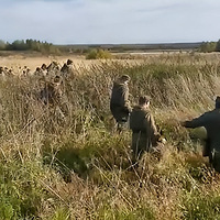 ͯ񱽫7ͯؽ52죬ڰҫ˹ʶ