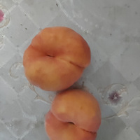 ŵĻ