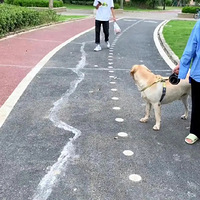 ̫��Ц�ˣ�ȫƪû��һ���֣����������������