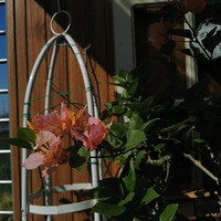 ����Ļ����Ķ��ÿ���