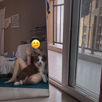 �������顫�ҳ��ｻ��Ⱥ��