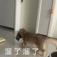 ����40�죬ÿ�����ȵġ������족��Ҫ���ˣ����ڽ��϶�������