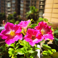 40������µľ�ǿ