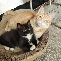 ������˿���Ҹ�����