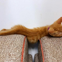 14��Ĵ���Ӧ����ô���ʣ���úܰ���