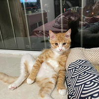 �ܿ��������ҼҴ�����ô����