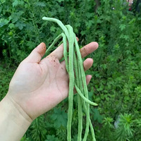 �������ڵ�λ�ֲ������