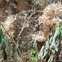 ����������ǣ������ֵĻ������𣿹��˶�����