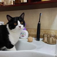 ����20�����ţ