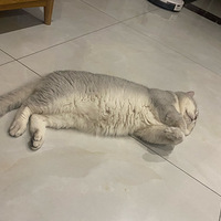 �ڿյ���ͷ��ĺ����Ӵ