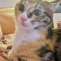 ��Ư�����Ѱ������������С���˲�����