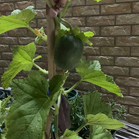 �ҵĹ���������һ���