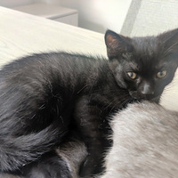 ������Сè��