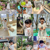 첻ȥ⹫԰ɹ̫ڹ⻷ؾɭ־ܿС