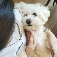 ��С���ֳ�������