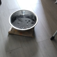 ����ȩ����Щ�£����Ҷ�����ᣬ����̿��������