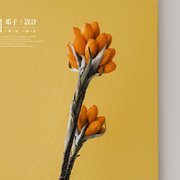 ��Ʒ�100Ԫ/ƽ�ĺÿڱ����ʦ�Ƽ����������ʦ����16�ڡ�