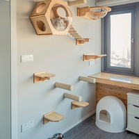 700Ԫ�㶨����è���ܣ���ϸ�̳�����